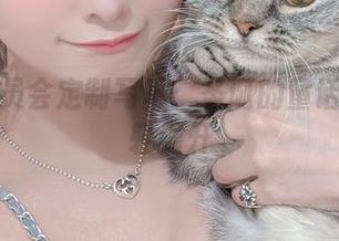 月城委员会定制写真：圣诞的童话故事轻轻展开
